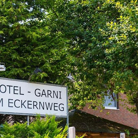 Hotel Garni Am Eckernweg Celle Buitenkant foto